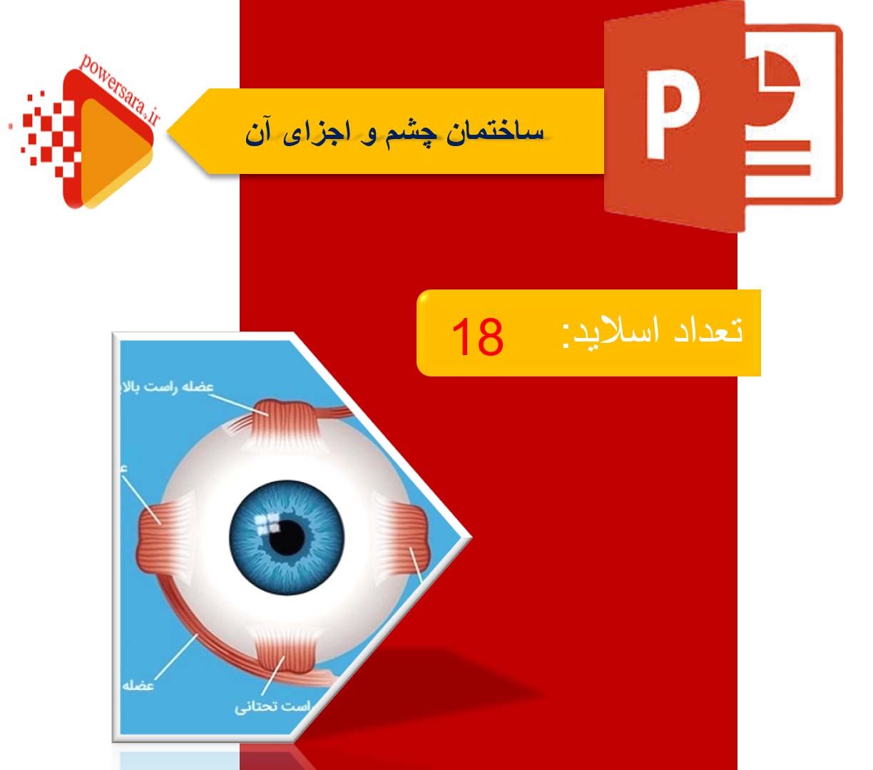 پاورپوینت ساختمان چشم و اجزای آن